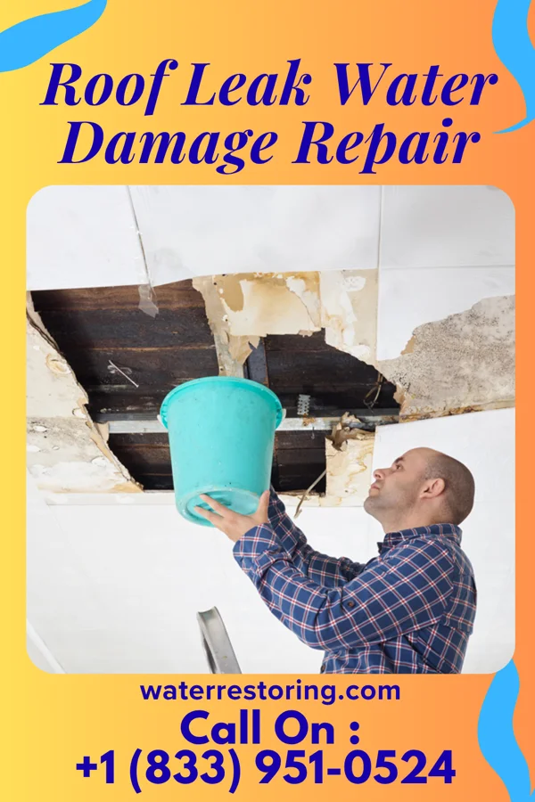 Roof Leak Water Damage Repair in Sawmills, NC