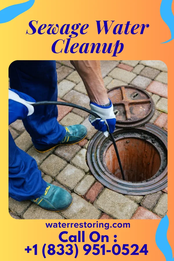 Sewage Water Cleanup in Sawmills, NC